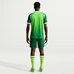 Nigeria 2026 Match Home Men's Nike Aero-FIT Football Authentic Shirt