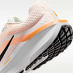 Nike Winflo 11 Men's Road Running Shoes