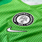 Nigeria 2026 Match Home Men's Nike Aero-FIT Soccer Authentic Jersey