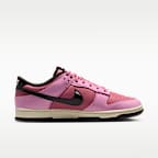 Nike Dunk Low Retro Men's Shoes