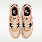 Nike Air Max 90 Men's Shoes