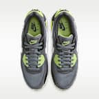 Nike Air Max 90 Men's Shoes