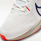 Nike Pegasus 40 Men's Road Running Shoes