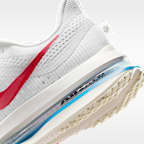 Nike Pegasus Premium Women's Road Running Shoes