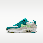Tenis para niños grandes Nike Air Max 90 LTR