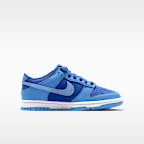 Nike Dunk Low SE Big Kids' Shoes