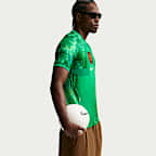 Netherlands 2026 Stadium Goalkeeper Men's Nike Dri-FIT Soccer Replica Short-Sleeve Jersey