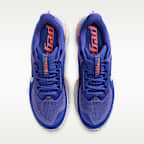 Nike Pegasus Premium Men's Road Running Shoes