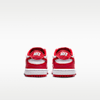 Nike Dunk Low Baby/Toddler Shoes