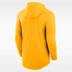 Iowa Campus Arch Men's Nike Dri-FIT College Long-Sleeve Hooded T-Shirt