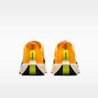 Nike Pegasus Plus Men's Road Running Shoes