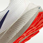 Nike Pegasus 40 Men's Road Running Shoes