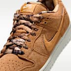 Nike SB Dunk Low Pro Skate Shoes
