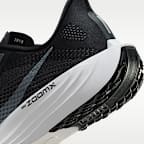 Chaussure de running sur route Nike Pegasus Plus pour homme