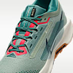 Nike Pegasus Trail 5 GORE-TEX Men's Waterproof Trail-Running Shoes