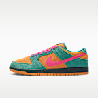 Nike SB Dunk Low Pro Skate Shoes