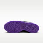 Tenis Nike Dunk Low Protro