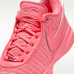 LeBron XX EP Basketball Shoes