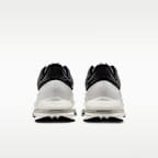 Nike Pegasus Premium SP Men's Road Running Shoes