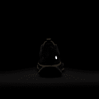 รองเท้าวิ่งเทรลผู้ชาย Nike Pegasus Trail 5