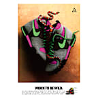Nike DNA “Worn to be Wild” Poster 22" x 34"