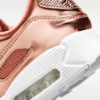 Calzado Nike Air Max 90 SP