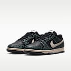 Nike Dunk Low Retro Men's Shoes