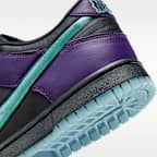 Nike Dunk Low Retro Limited 鞋款