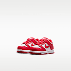 Nike Dunk Low Baby/Toddler Shoes