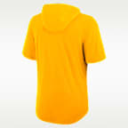 Pittsburgh Steelers Men's Nike Dri-FIT NFL Hooded T-Shirt