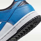 Nike Dunk Low Little Kids' Shoes