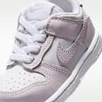 Nike Dunk Low Baby/Toddler Shoes