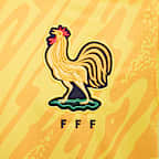 FFF (Women's Team) 2024/25 Stadium Goalkeeper Men's Nike Dri-FIT Football Replica Shirt