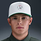 Nike Pro Graphic Cap