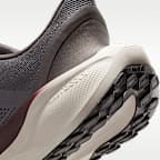 Nike Pegasus EasyOn Men's Road Running Shoes