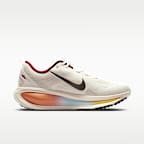Nike Vomero 18 Men's Road Running Shoes
