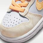 Nike Dunk Low Baby/Toddler Shoes