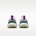 Nike Free Run 5.0 Men's Road Running Shoes