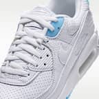 Nike Air Max 90 Men's Shoes