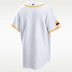 Colombia National Baseball Team 2026 World Baseball Classic Men's Nike Stadium Jersey