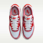 Nike Air Max 90 Men's Shoes