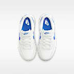 Nike Dunk Low Little Kids' Shoes