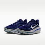 Nike Winflo 12 Men's Road Running Shoes (Wide)