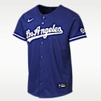 Los Angeles Dodgers Big Kid's Nike MLB Stadium Jersey