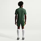 Springboks Men's Nike Rugby Training Top Sleeve Top