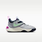 Nike Team Hustle D 11 SE Older Kids' Basketball Shoes