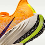 Nike Pegasus Plus Men's Road Running Shoes