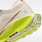 รองเท้าวิ่งเทรลผู้หญิงกันน้ำ Nike Pegasus Trail 5 GORE-TEX