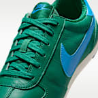 Nike Sprint Sister Women's Shoes