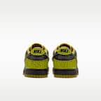 Nike Dunk Low Retro Men's Shoes
